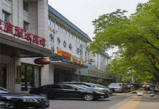 广西软枣水果苗新品种果树苗在哪买